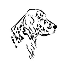 Decorative portrait of standing in profile English Setter, vector isolated illustration
