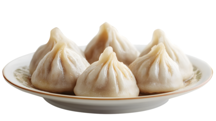 Fresh Steamy Modak Dumpling Isolated on a White Background