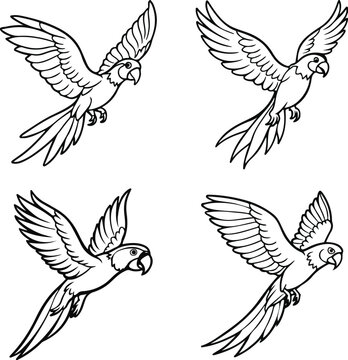 Parrot Line Art  Icons droing