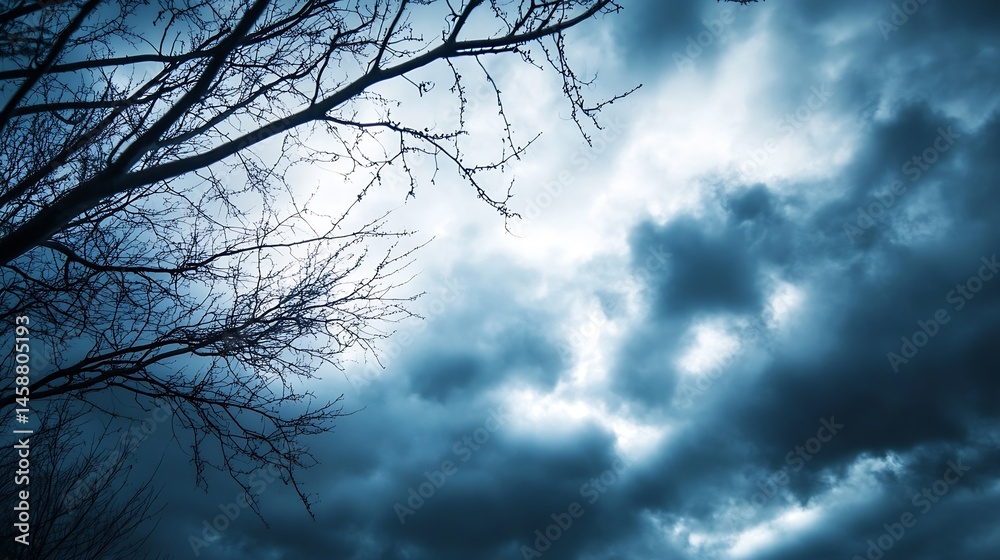 Aufkleber silhouette of a leafless tree branches against a dramatic, dark, stormy sky, creating a moody and at