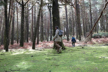 Father and son hiking in beautiful green forest