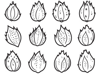 Botanical dragon fruit line artwork for natural product branding