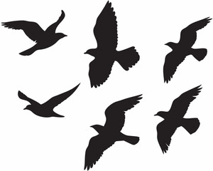 Obraz premium Elegant silhouettes of birds in flight soaring freely against a stark white background Simple bold black shapes create a