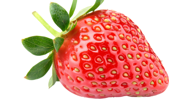 Vibrant Watercolor Strawberry Clipart: Ideal for Fresh Fruit Designs