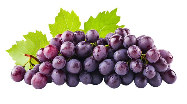 Fresh Grapes Isolated on White Background Illustration