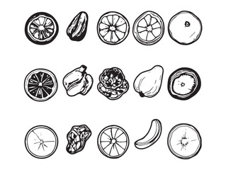 Dried Fruit Outline Drawing Healthy Snack Organic Food Line Art