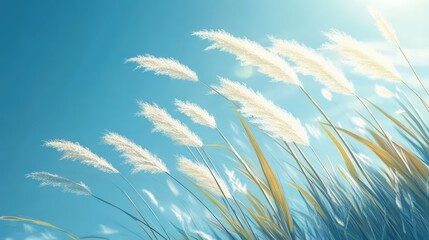 A close-up of grass tops swaying gently in the breeze under a clear blue sky