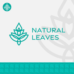 
outline leaves for natural product or vintage spaces and shops