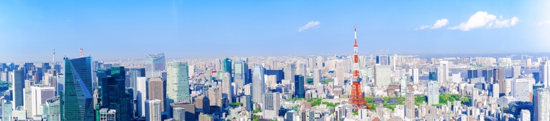 Fototapeta premium panoramic, tourist attractions in the city park of Tokyo, Asia business concept image, panoramic modern cityscape building in Japan. 