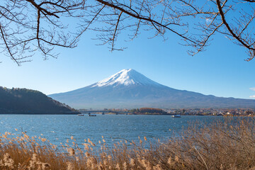 Mount Fuji, the iconic symbol of Japan, during the season of autumn foliage, a period of exceptional beauty.kawaguchiko,japan.