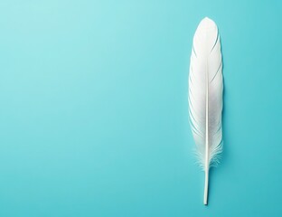 Single white feather on a teal background  A pristine, delicate feather, positioned vertically against a vibrant teal backdrop, showcasing its soft, flowing texture and smooth, white surface