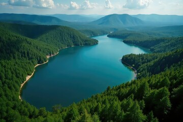 Obraz premium Irregular shaped lake with meandering shoreline, dense forest, dimension, dark