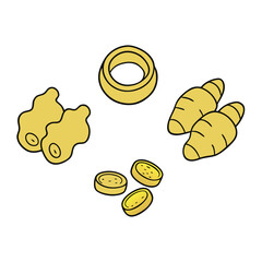 Garlic vegetable icon set vector illustration