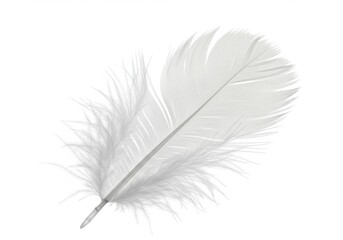 Obraz premium Delicate white feather with fluffy barbs isolated against a clean, bright white background for design element