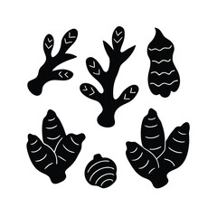 Ginger silhouette healthy food icon vector illustration