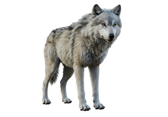 Majestic wolf with piercing yellow eyes standing alert in the darkness