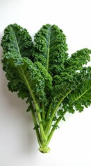 Fresh Green Kale Leaves on White Background