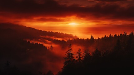 A deep red and orange sunset casting dramatic shadows over a foggy forest, the sea shimmering in the distance