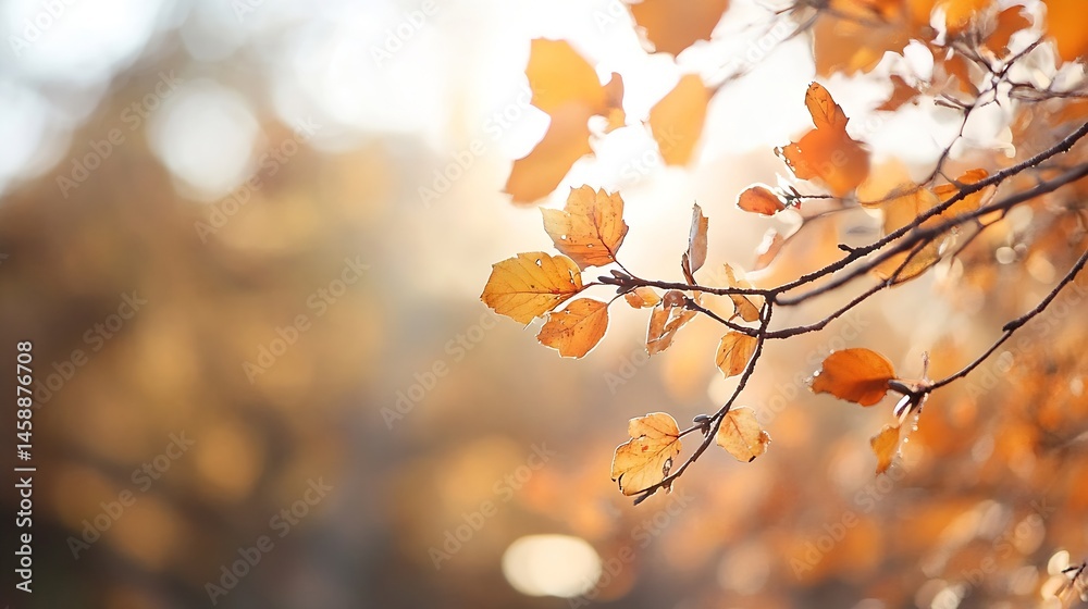 Poster autumnal sunlight illuminates delicate branch with golden leaves, soft bokeh background : generative