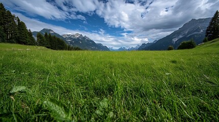 Lush green alpine meadow with towering mountains under a partly cloudy sky, offering a breathtaking view of the swiss alps. : Generative AI