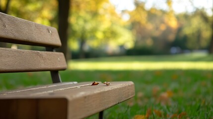Close-up view of a wooden park bench with autumn leaves, situated in a sunlit park with a blurred background of green grass and trees. : Generative AI