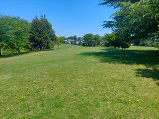 新緑の季節の芝生広場