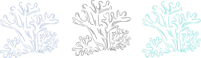 Set of hand drawn coral in three color variations. Minimalist line art. Design elements. Vector flat illustration
