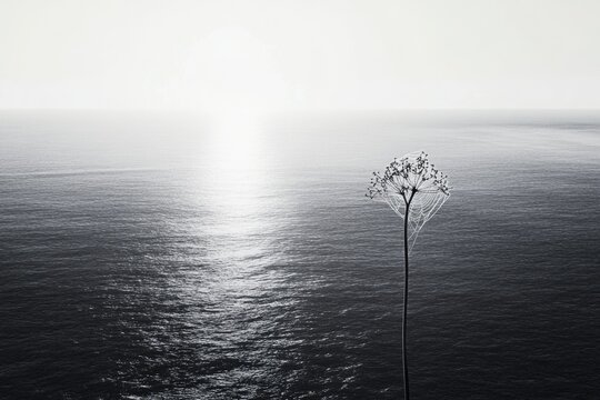 A solitary plant stands against a vast, serene ocean under a soft, hazy sky.