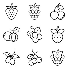 Berry and fruit icons set in black outline style on white background