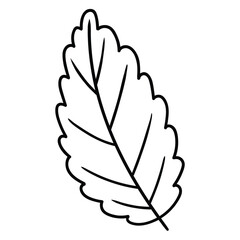 Hand drawn doodle mint leaf on white background. © Павел Костенко