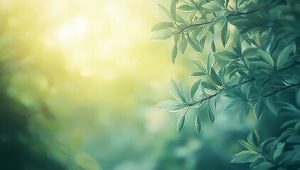 Fototapeta premium Lush foliage bathed in soft sunlight. Gentle, green leaves