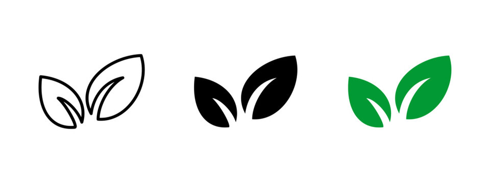 Leaf icon. Two stylized green leaves representing nature and freshness vector illustration. Eco-friendly growth and organic symbol. Sustainability and environmental sign. Natural pictogram.