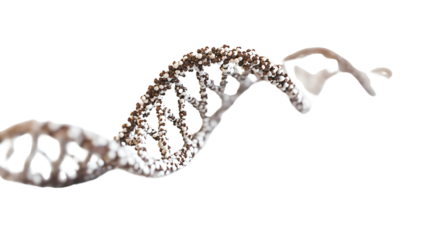 DNA Molecule on White Background for Scientific Research and Genetics Concept