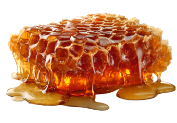honeycomb on transparent background