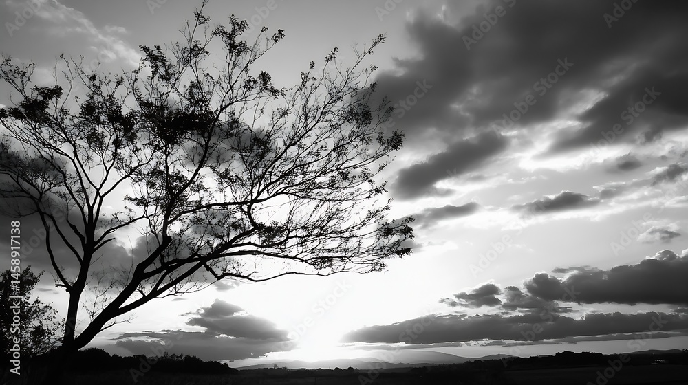 Poster silhouette of a leafless tree against a dramatic grayscale sunset sky, showcasing a tranquil landsca