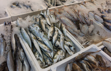 Fresh fish counter with various fish on ice in plastic containers at a street market