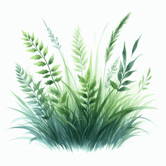 Gentle Blades & Blooms green grass isolated watercolor vector illustration svg