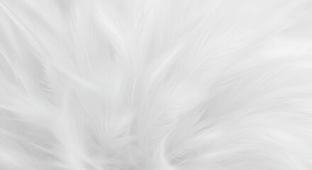 White fabric texture closeup background