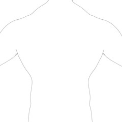 A white background with a black outline of a human torso. The torso is outlined in black and the outline is very thin. Back view