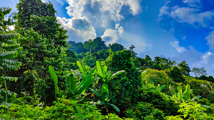 Fototapeta premium Pulau Tioman tropical island in Malaysia. South China sea. Southeast Asia
