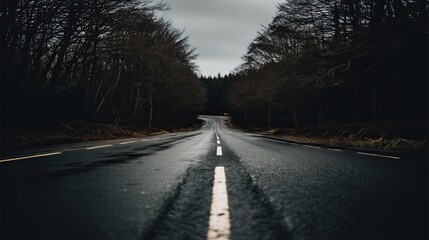 Obraz premium A Dark Road Through the Woods Journey into an Enigmatic Landscape