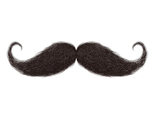 Classic mustache design for branding, decoration and themes, cut out