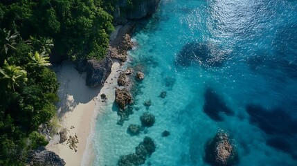 Aerial view of a secluded tropical beach with turquoise water, white sand, and lush green vegetation bordering rocky cliffs. : Generative AI