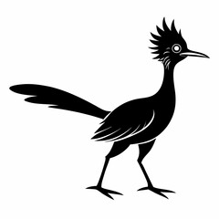 Bold Roadrunner Silhouette Art