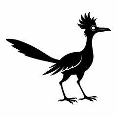 Bold Roadrunner Silhouette Art