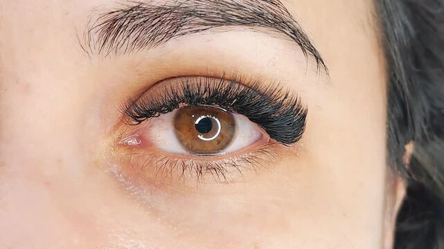 Close up of eye with eyelash extensions ,eyelash extension Procedure.,2d volume, 3d volume, classical lashes,Russian volume,mega volume, new set.