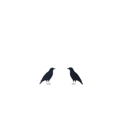 Obraz premium Two stylized ravens facing each other on a white isolated background, showcasing their distinct feathers and features, perfect for art and nature-themed designs.
