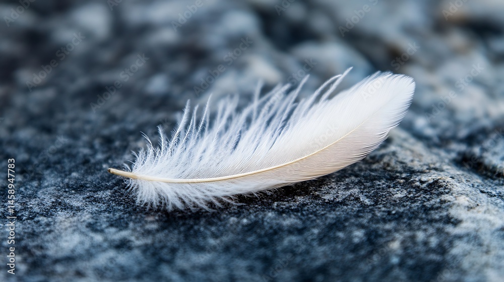 Poster Single white feather rests gently on a dark, textured stone surface, creating a serene and peaceful image. The feather's delicate structure and soft light contrast beautifully with the : Generative AI