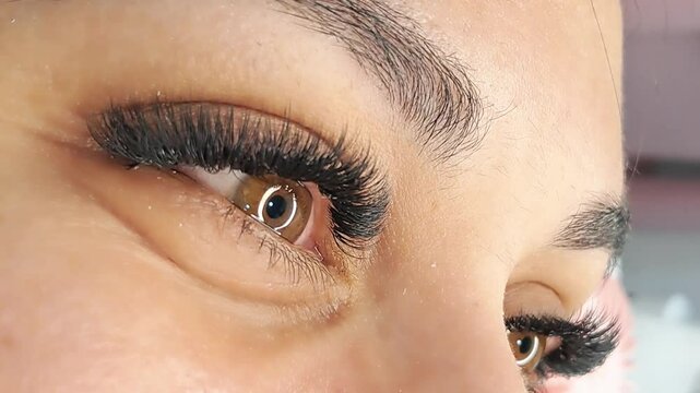 Close up of eye with eyelash extensions ,eyelash extension Procedure.,2d volume, 3d volume, classical lashes,Russian volume,mega volume, new set.