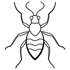 Elegant Aphid Line Drawing
